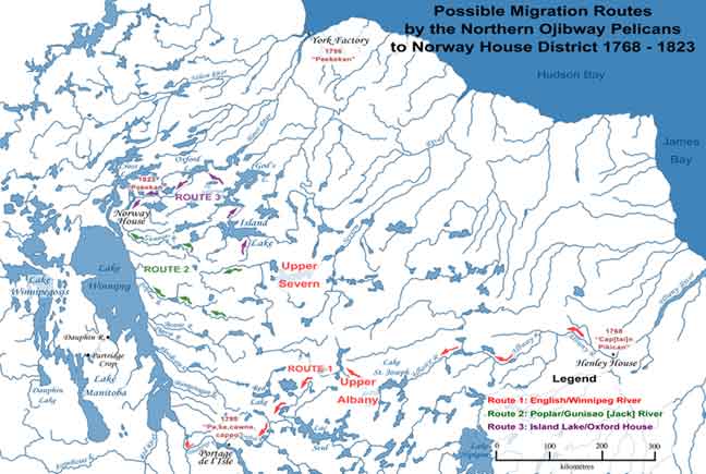 Possible Migration Routes Northern Ojibway Pelicans