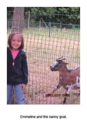 Emmeline and the nanny goat